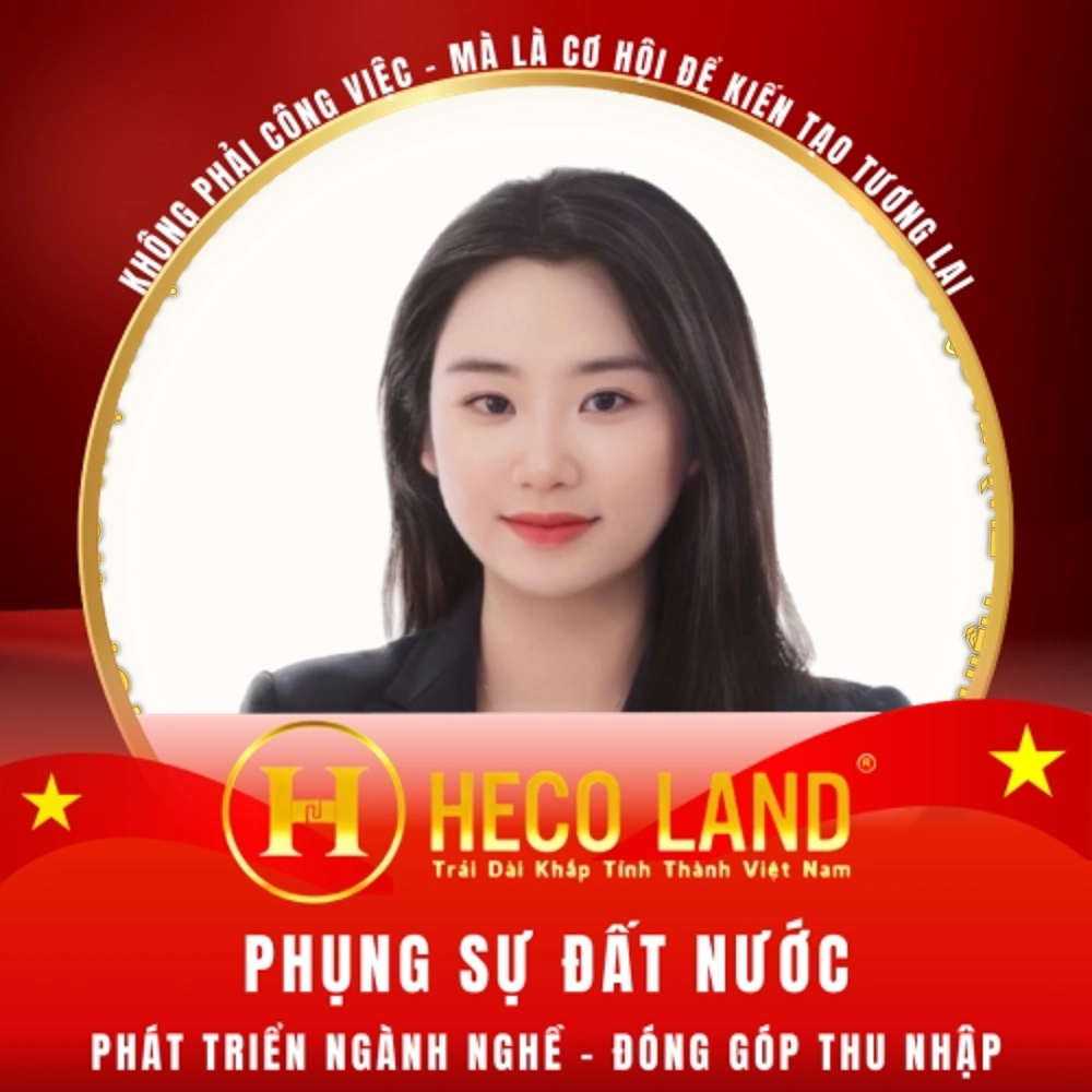 lĩnh vực hoạt động